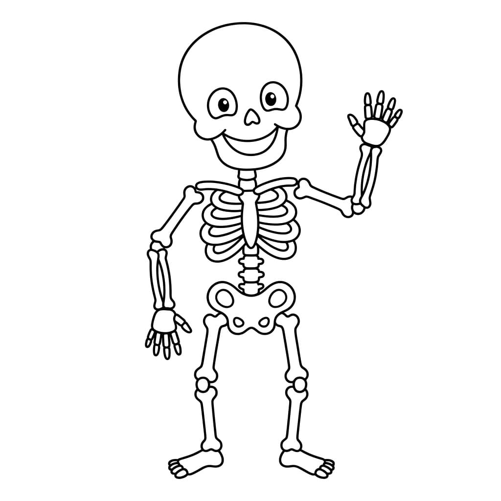 هيكل لطيف تلوين