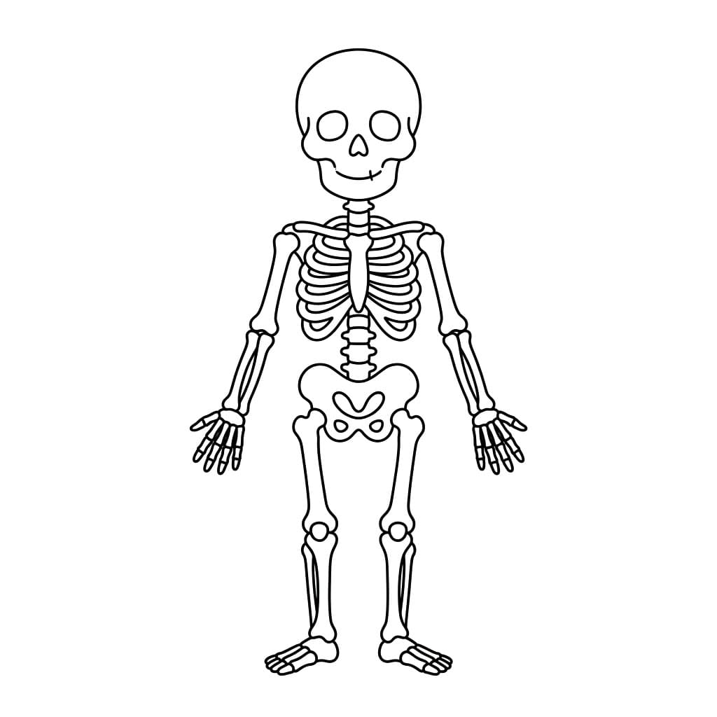 هيكل هادئ تلوين