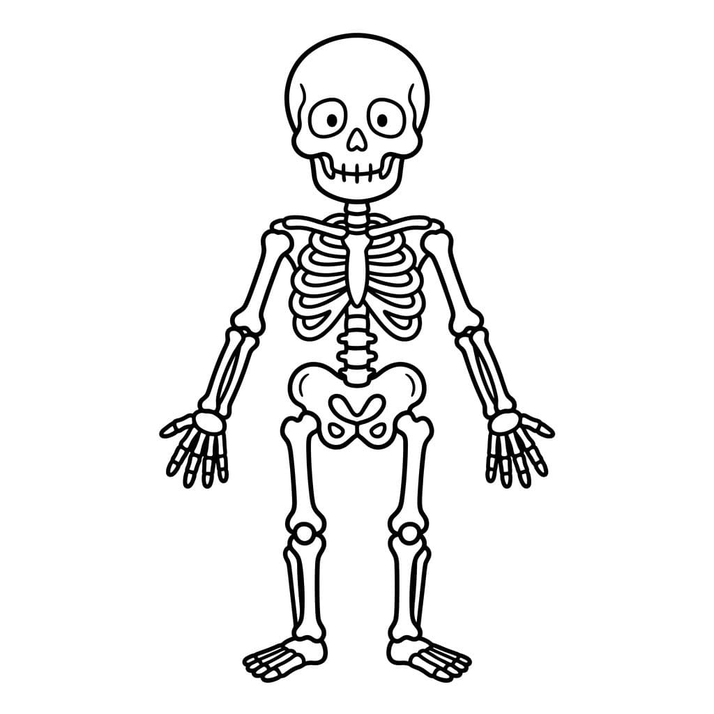 هيكل بسيط تلوين