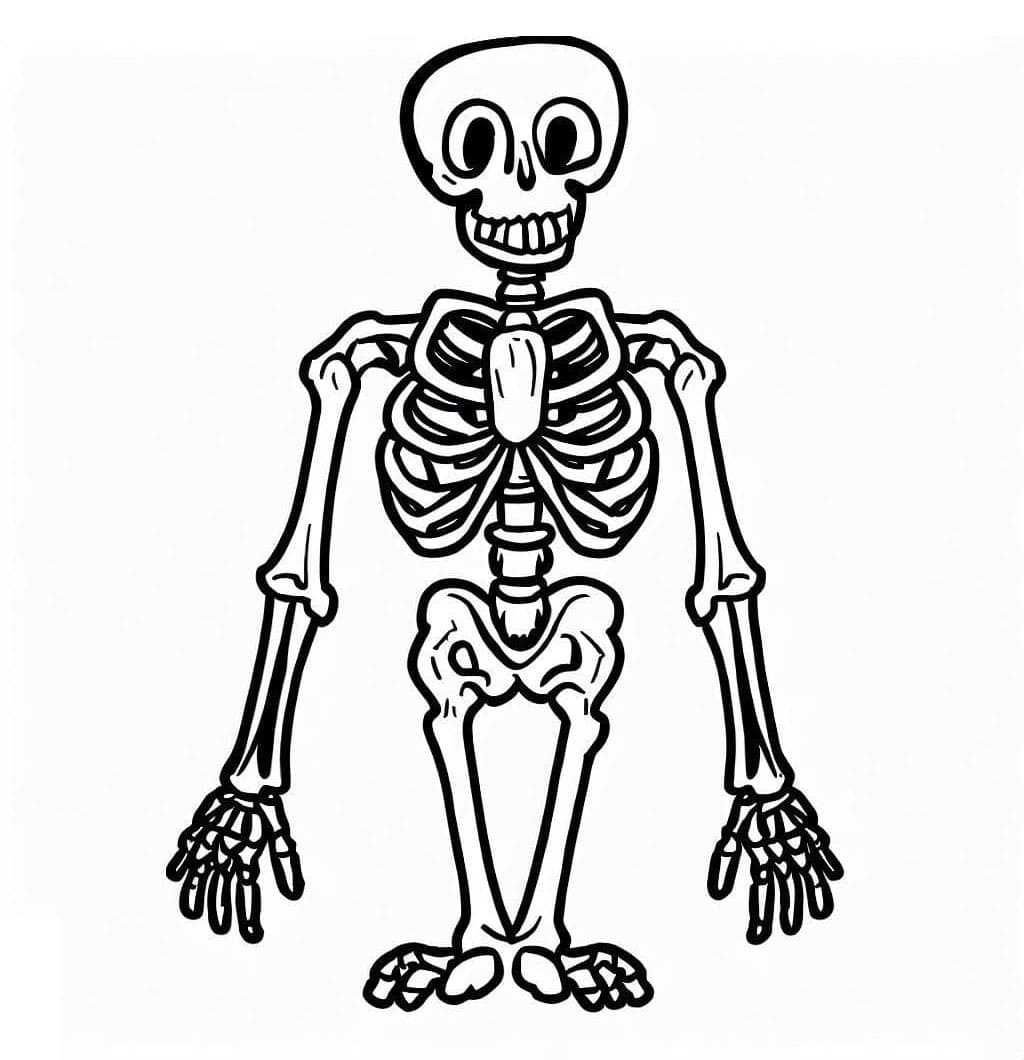 هيكل عظمي مجاني للأطفال تلوين