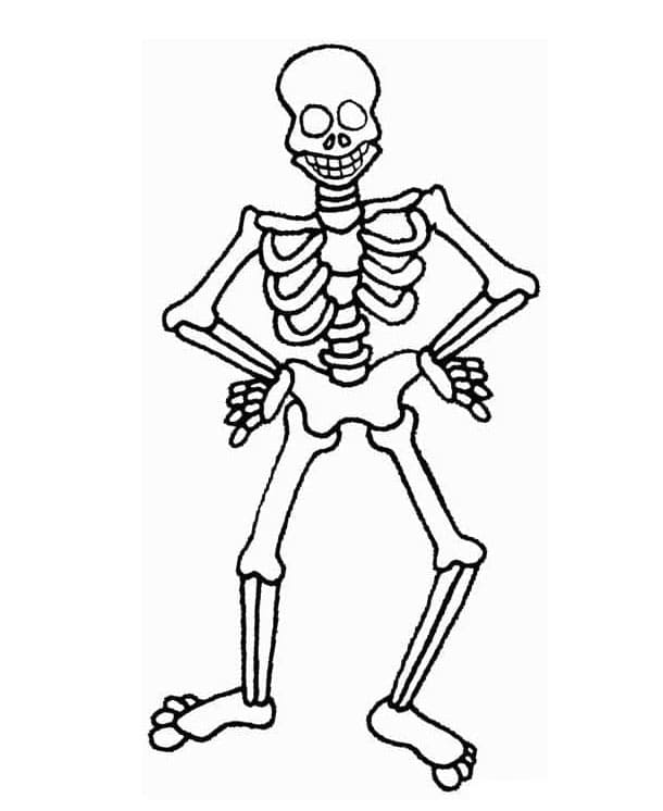 هيكل عظمي كرتوني تلوين