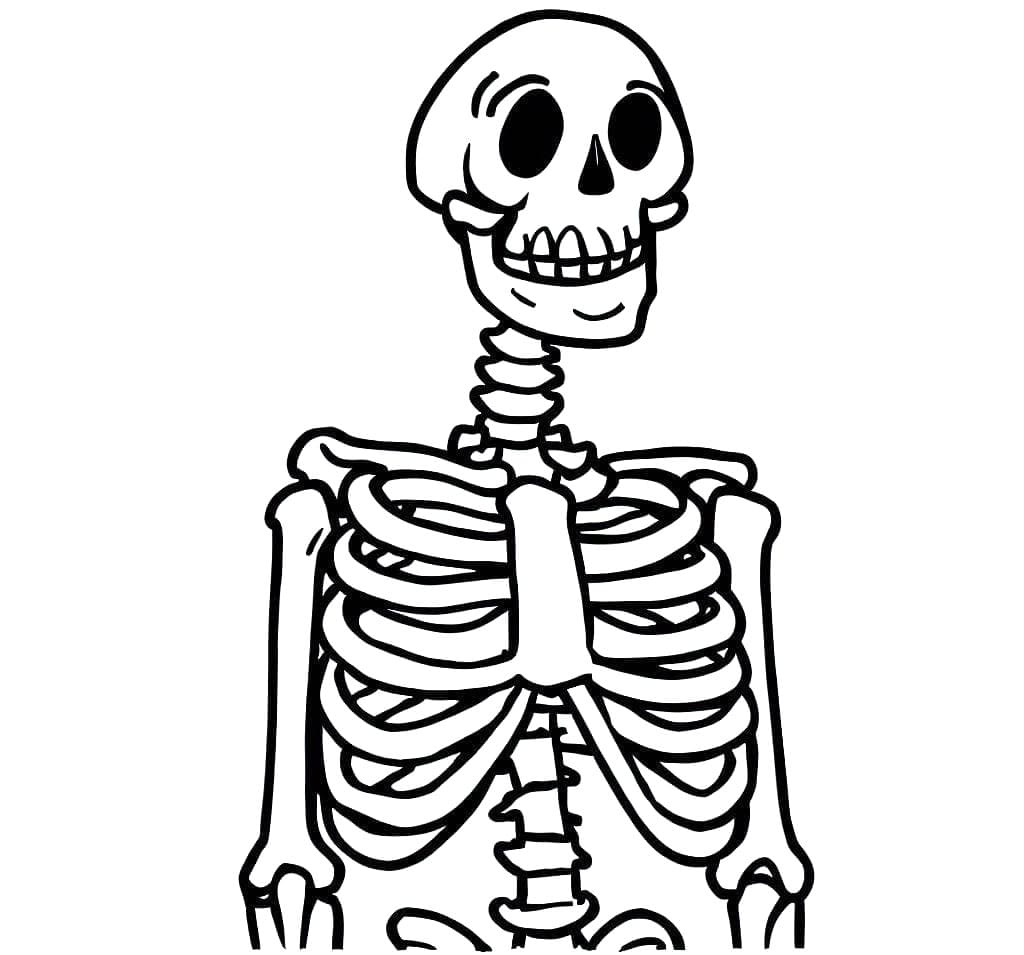 هيكل عظمي قابل للطباعة مجاناً تلوين