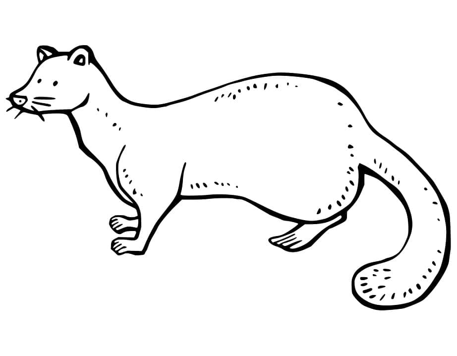 إيزي مارتن تلوين