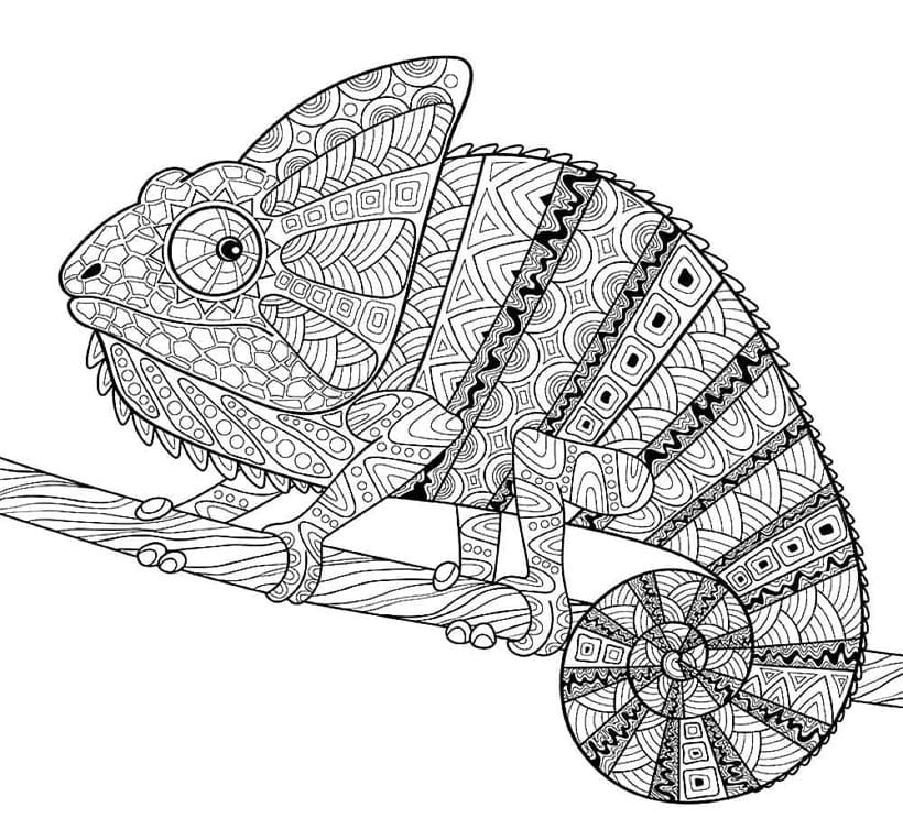 لعبة الحرباء للكبار مجاناً تلوين