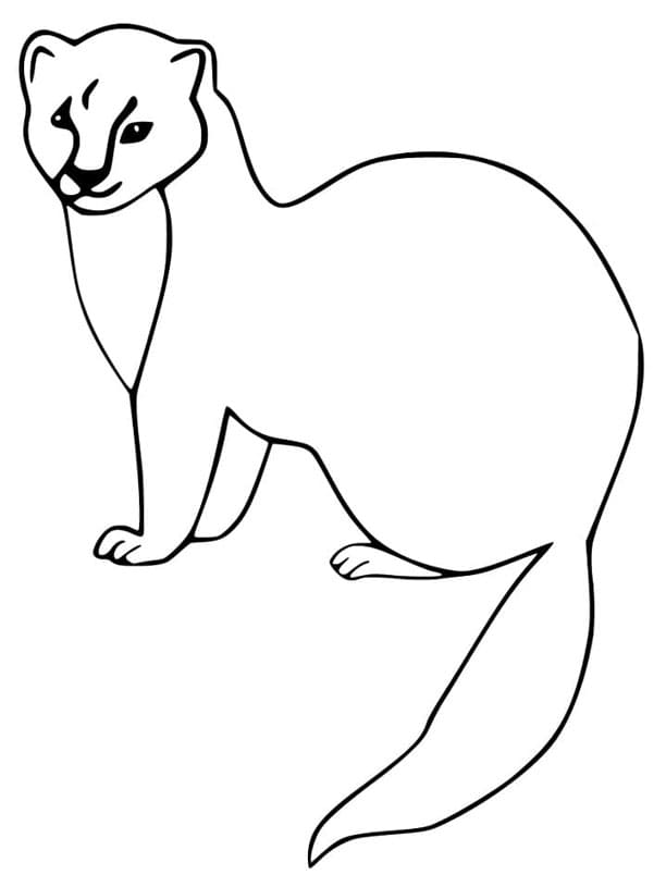 مارتن البسيط لطيف تلوين