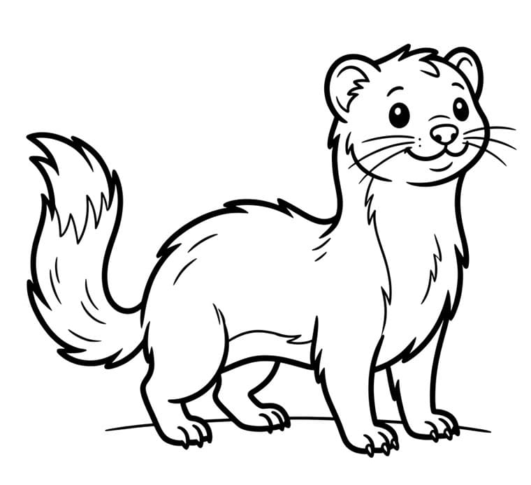 مارتن بسيط تلوين