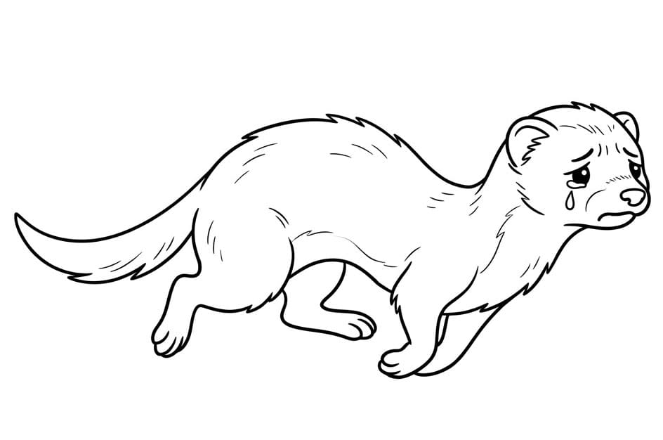 مارتن حزين تلوين