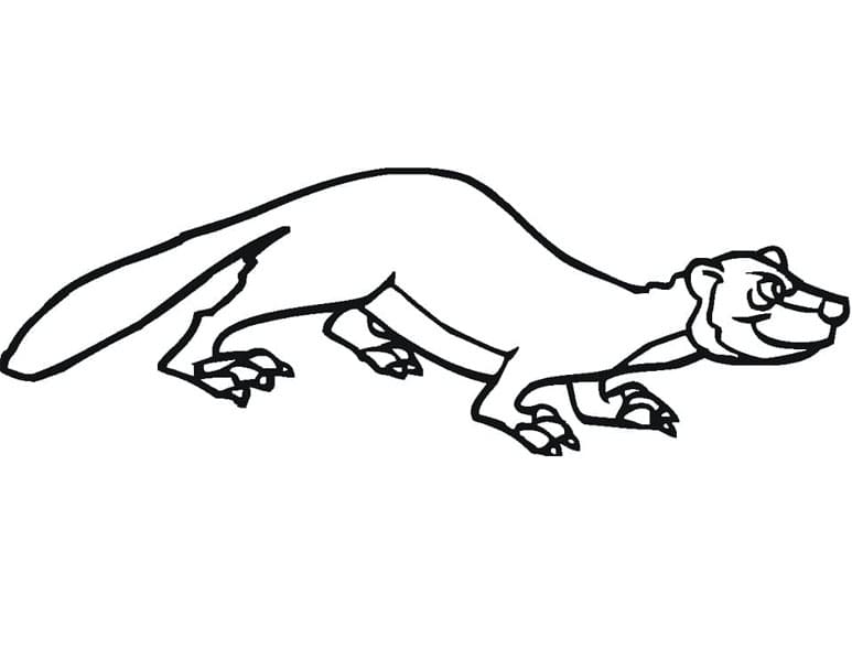 مارتن كرتوني تلوين