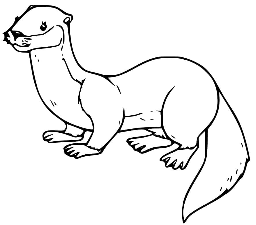 مارتن لطيف تلوين