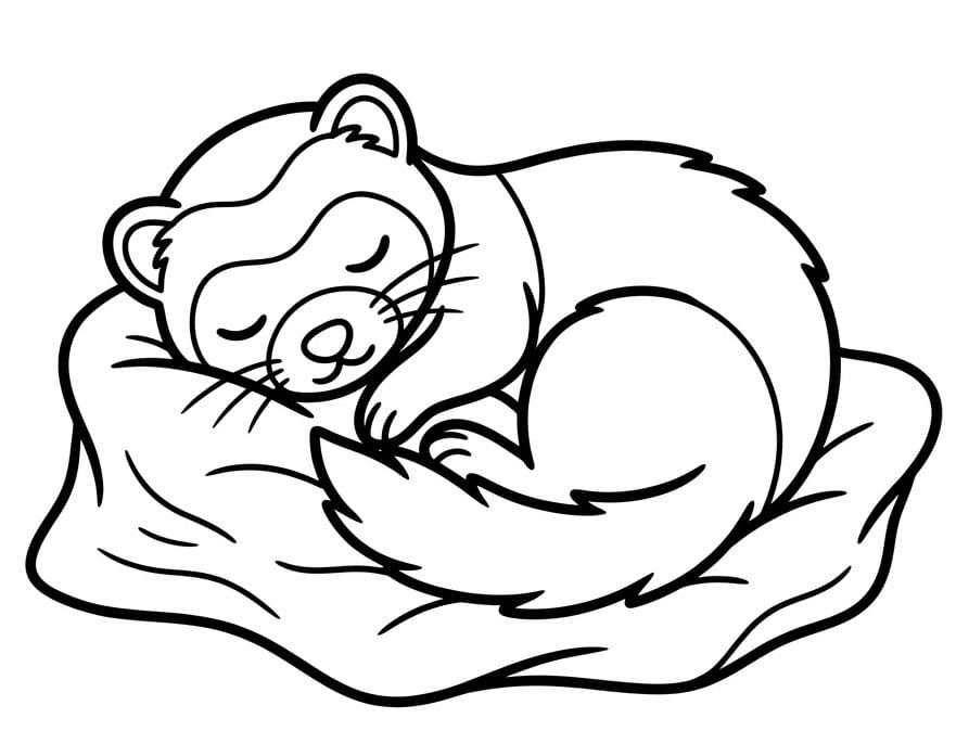 مارتن نائم تلوين