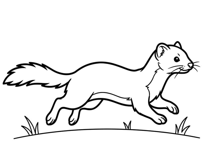 مارتن يركض تلوين