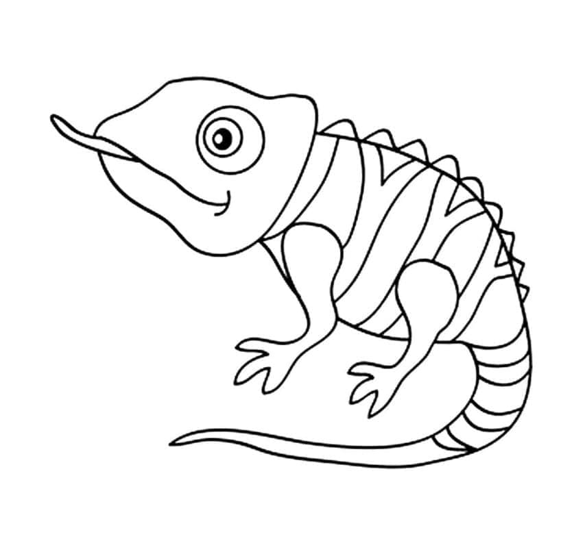 نموذج الحرباء المجاني للطباعة تلوين