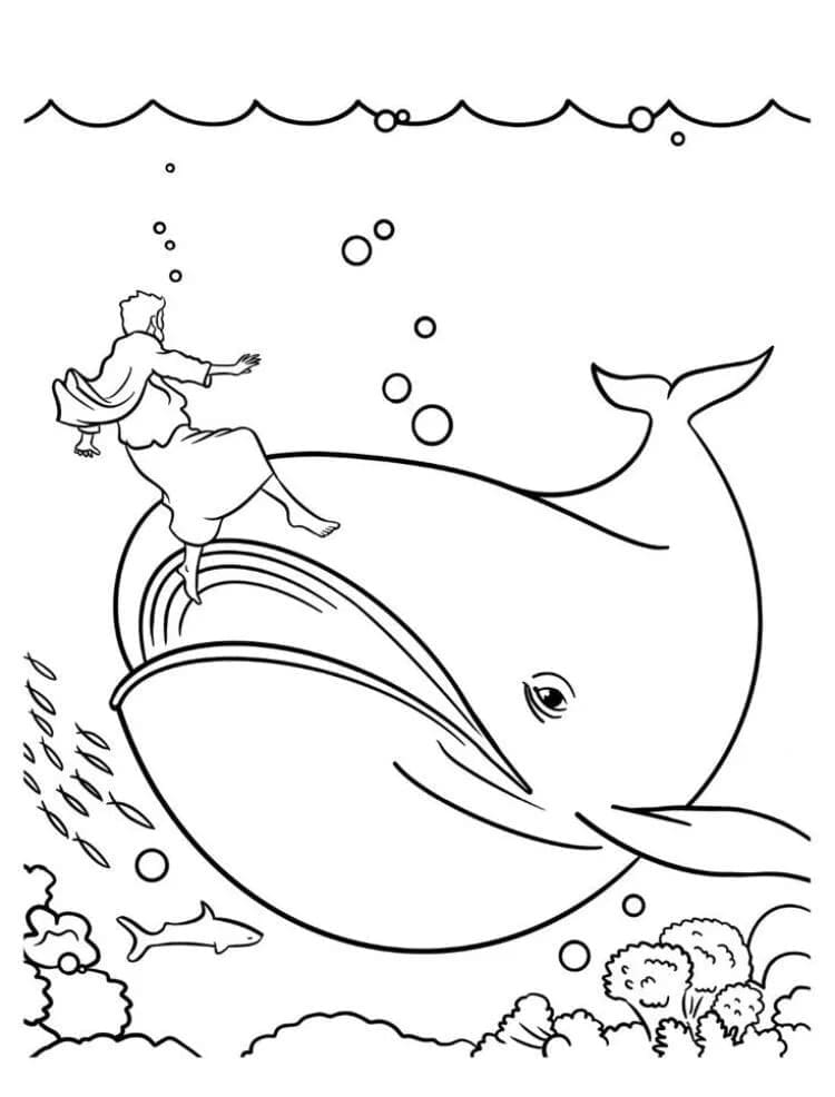 قصة يونان تلوين