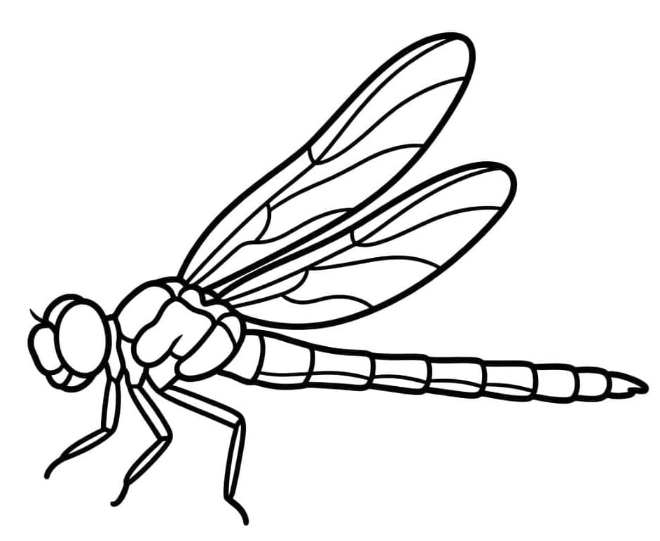 صفحة اليعسوب تلوين