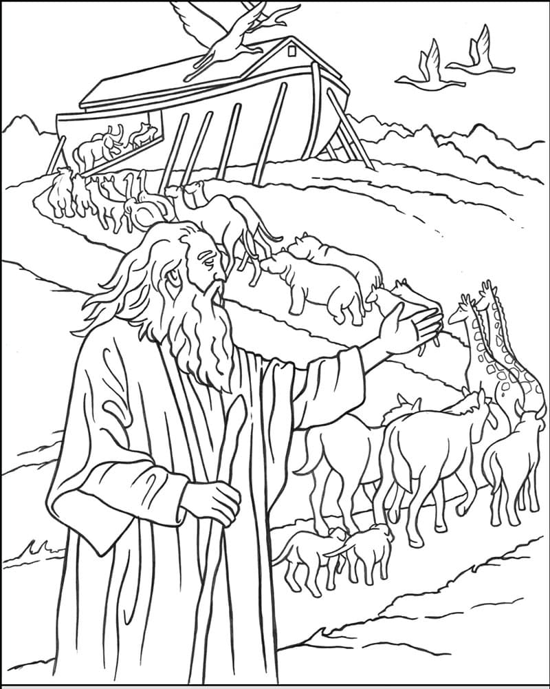 سفينة نوح مذهلة تلوين