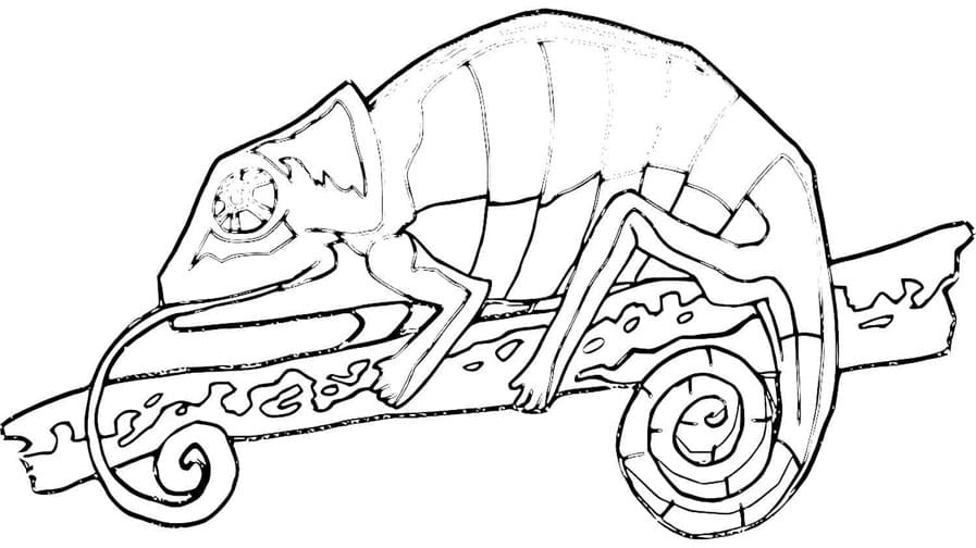 صورة الحرباء تلوين