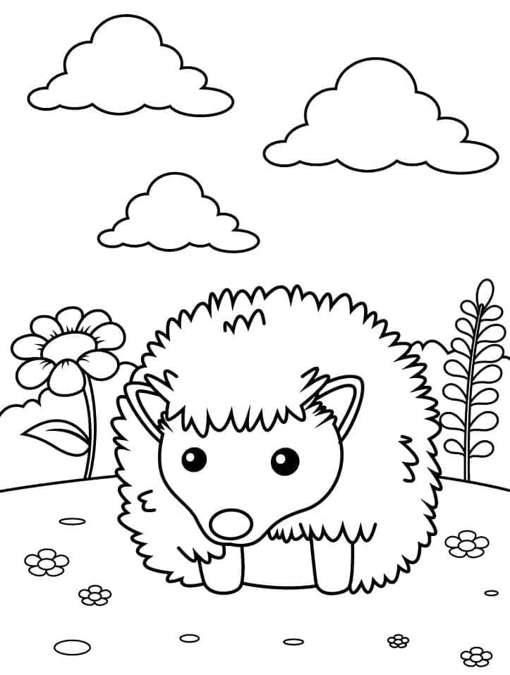 طبعة القنفذ تلوين