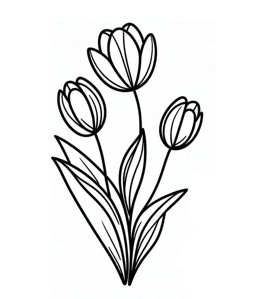 طبعة زهرة التوليب تلوين