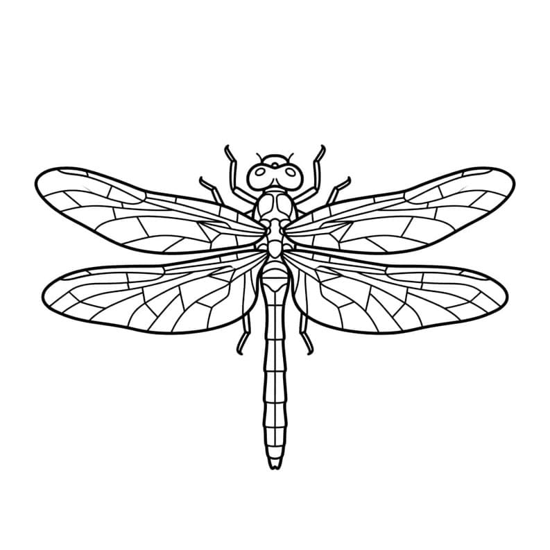 تفاصيل اليعسوب تلوين