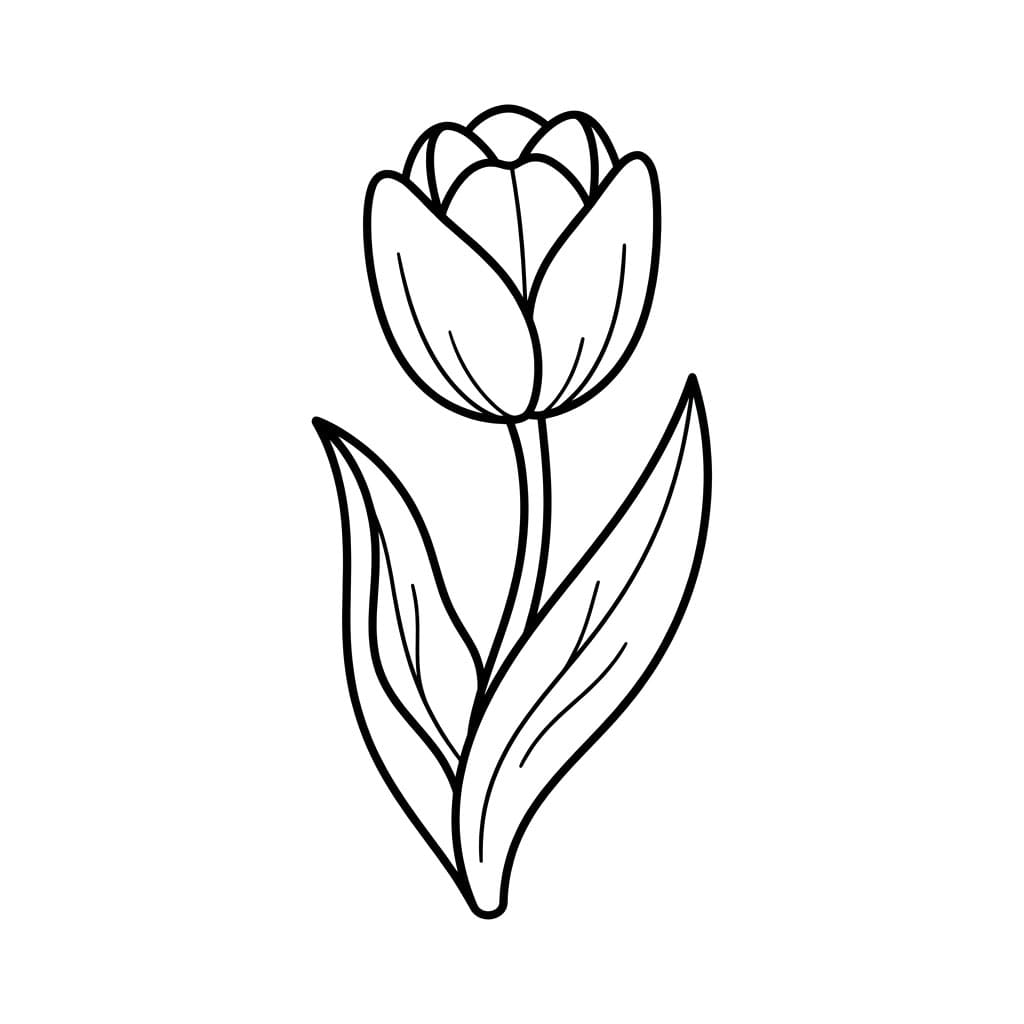 توليب حالم تلوين