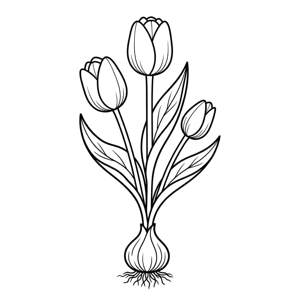 توليب مشرق تلوين