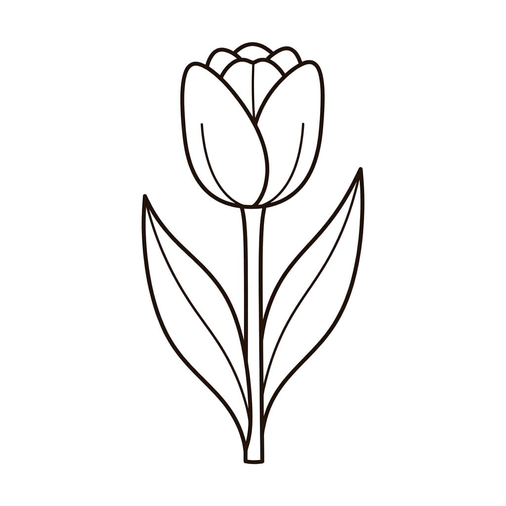 توليب هادئ تلوين