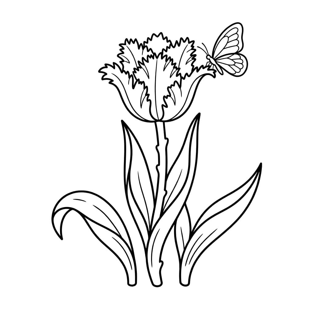 توليب هادئ النفس تلوين