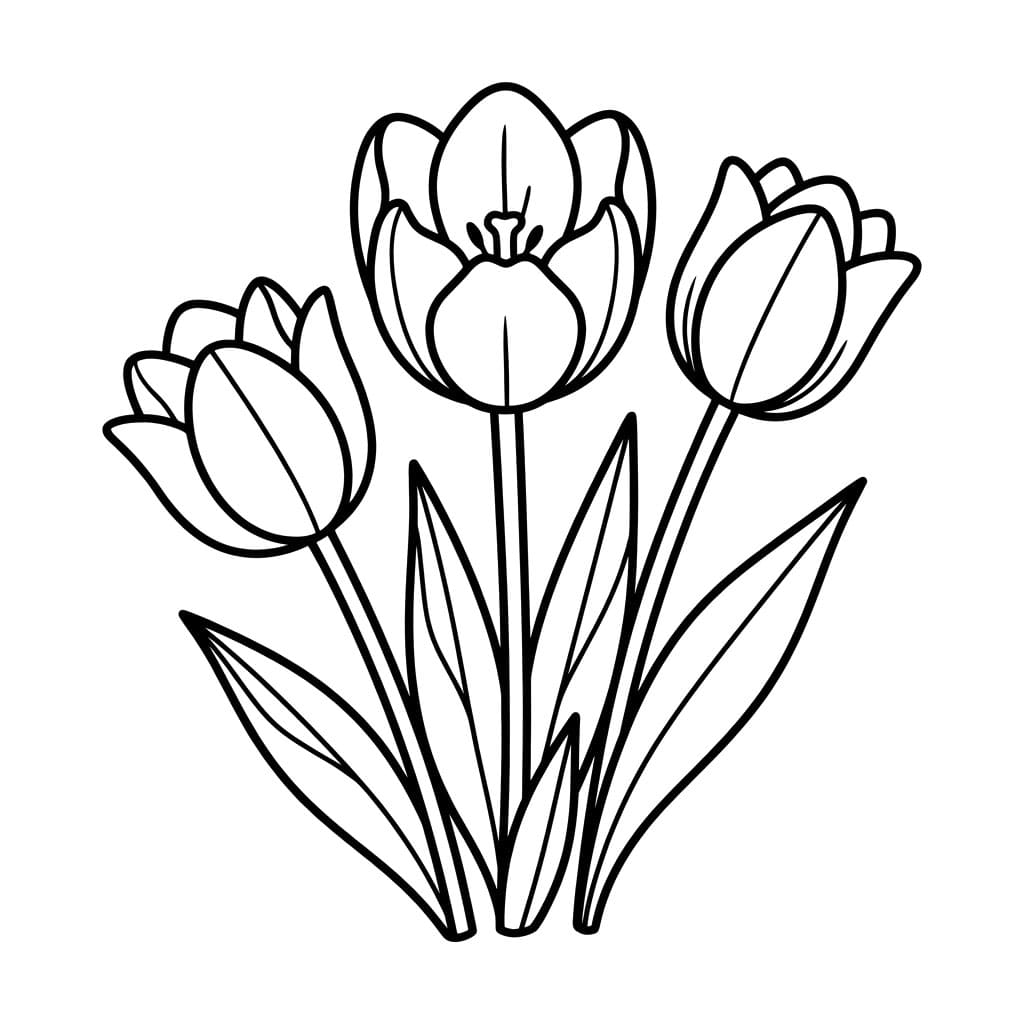 توليب خجول تلوين