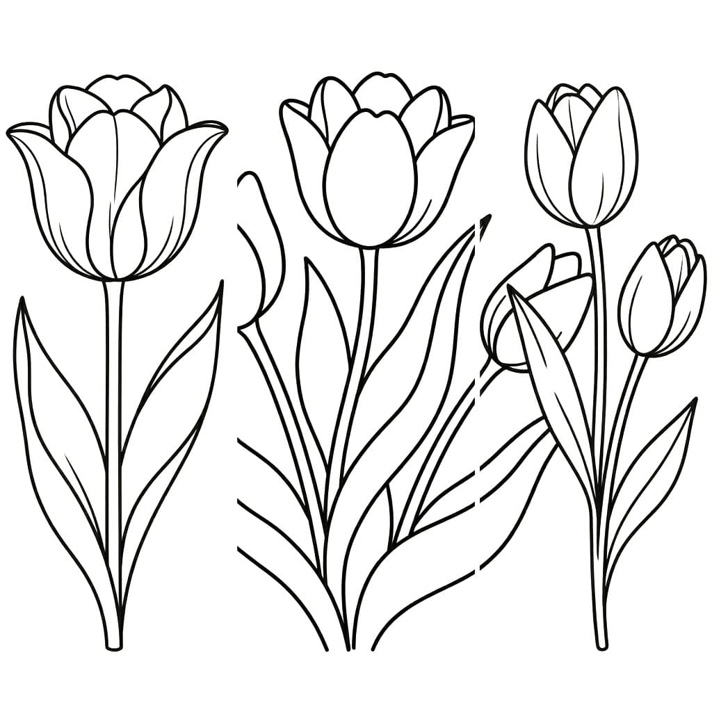 توليب مزدهر تلوين