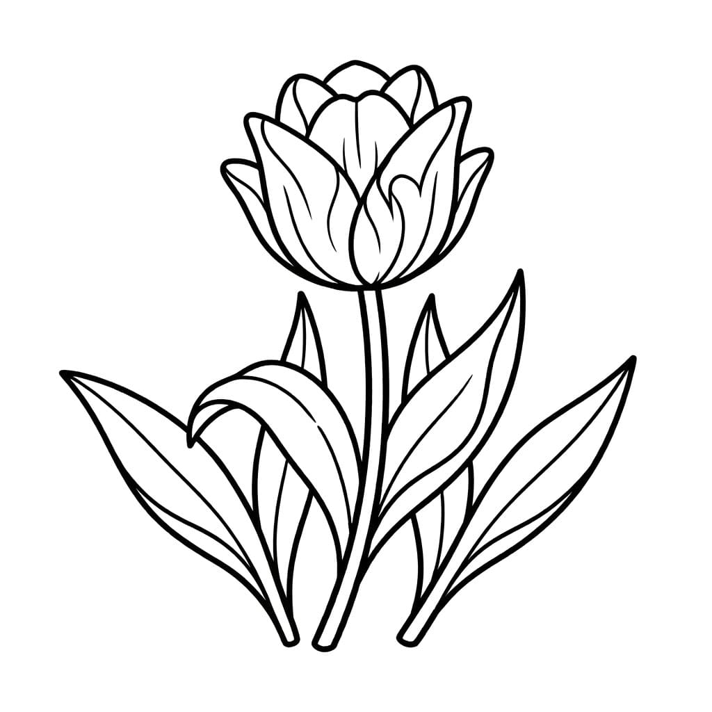 توليب متجمع تلوين