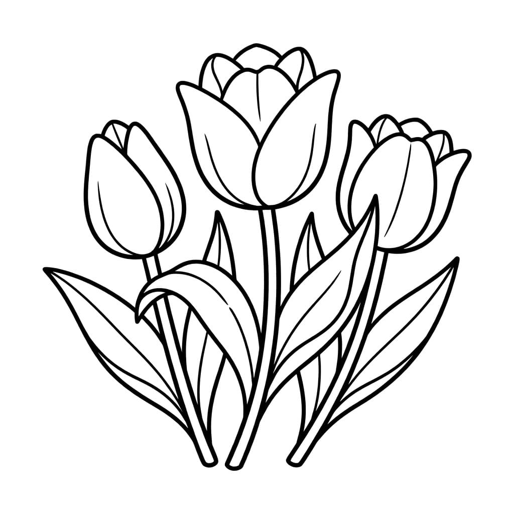 توليب طبيعي تلوين