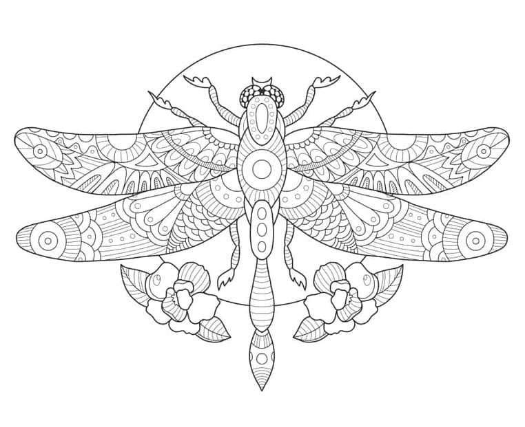 تُصنع اليعسوب مجوهرات رائعة. تلوين