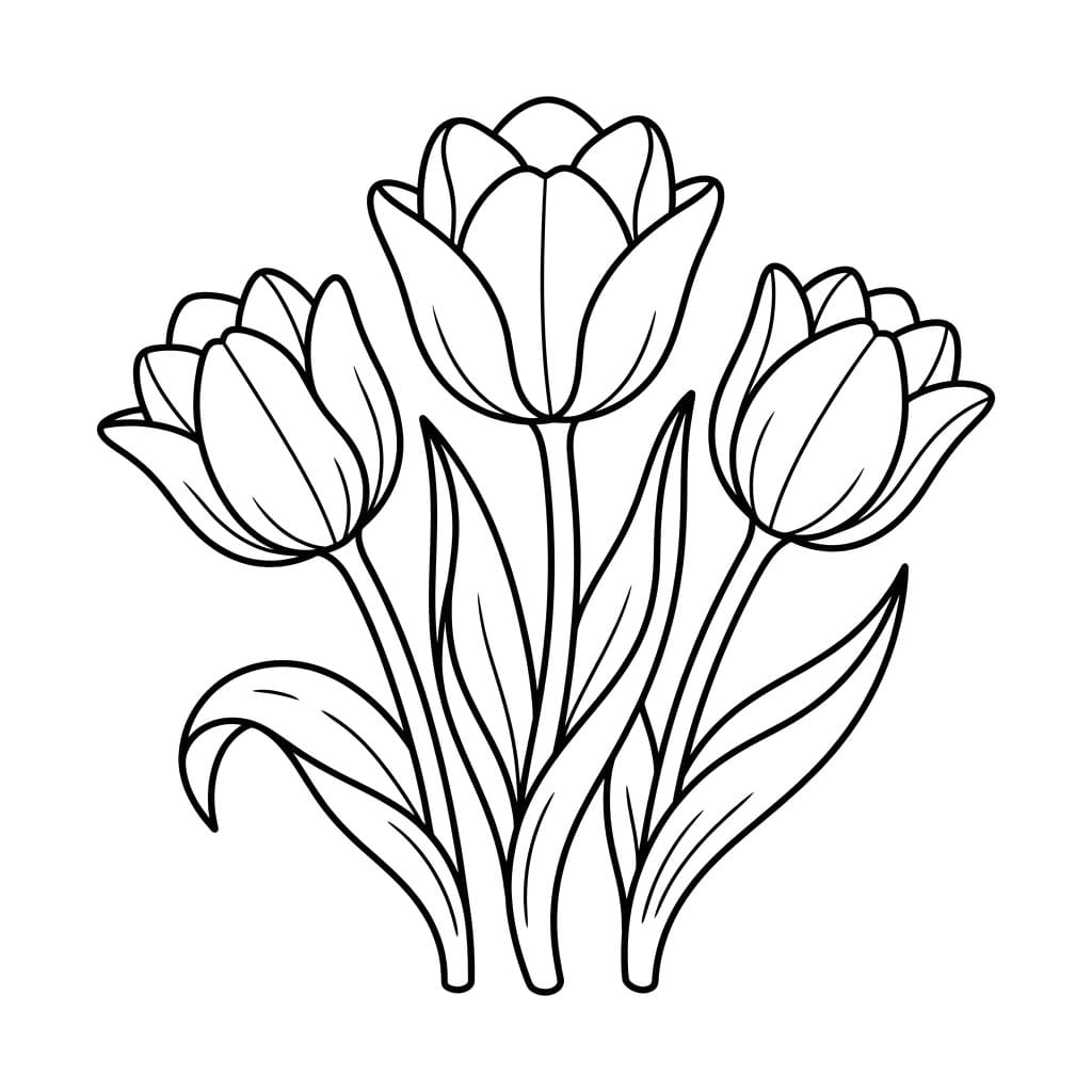 توليب راقٍ تلوين