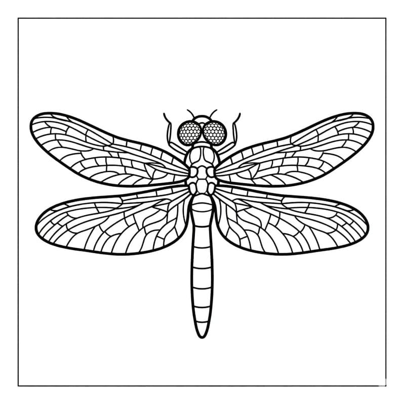 اليعسوب تلوين