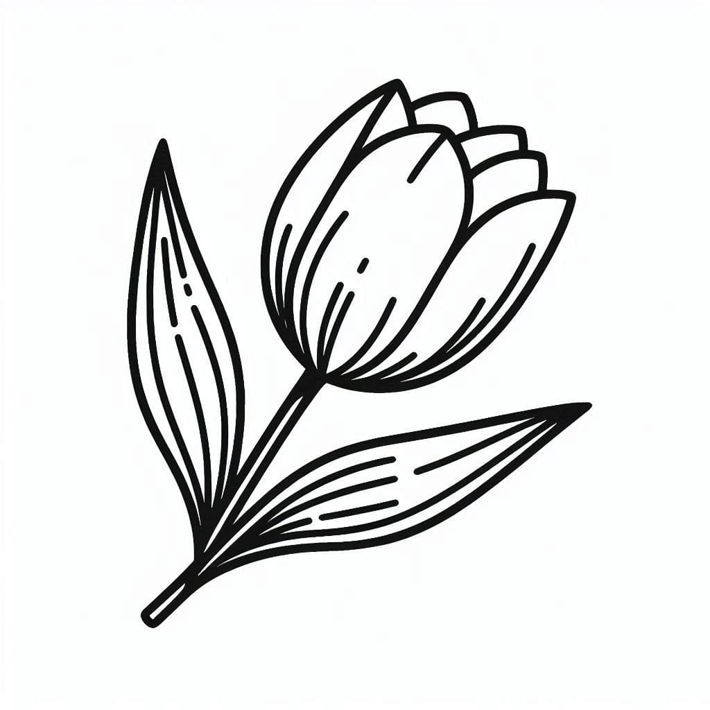 زهرة التوليب قابلة للطباعة للأطفال تلوين