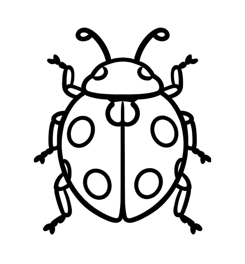 رسمة الدعسوقة تلوين