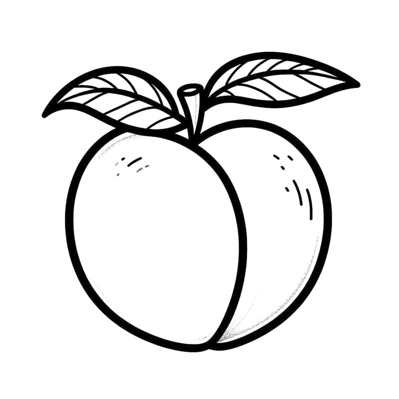 رسم لفاكهة الخوخ تلوين