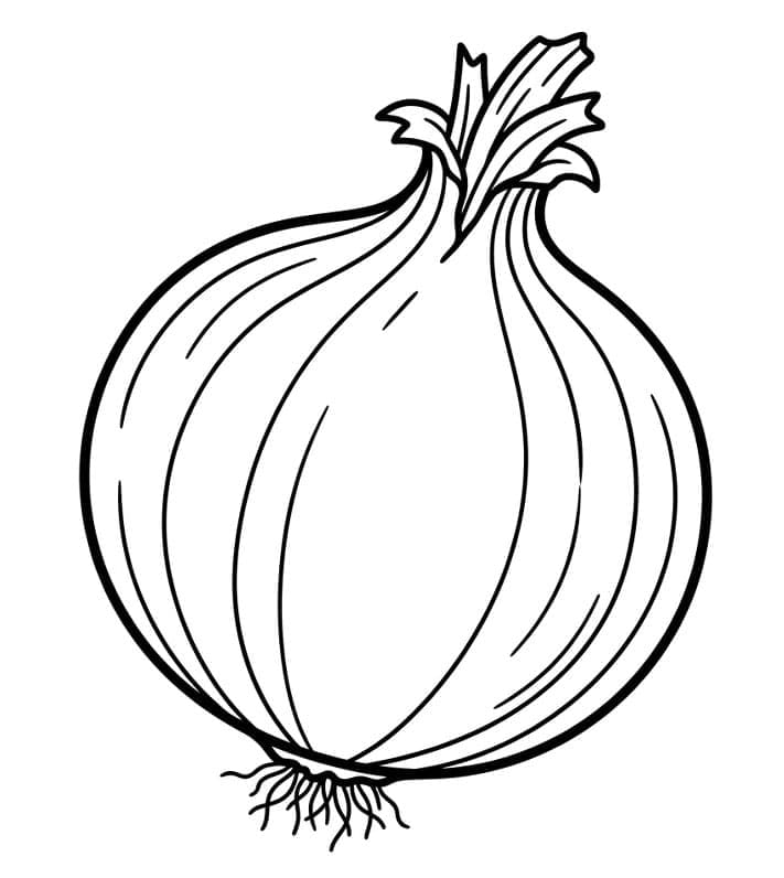 بصل طازج تلوين