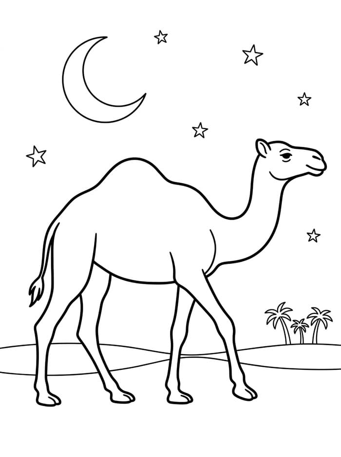 الجمل العربي تحت القمر تلوين