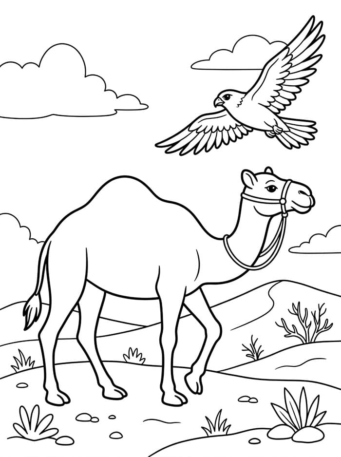الجمل العربي والصقر تلوين