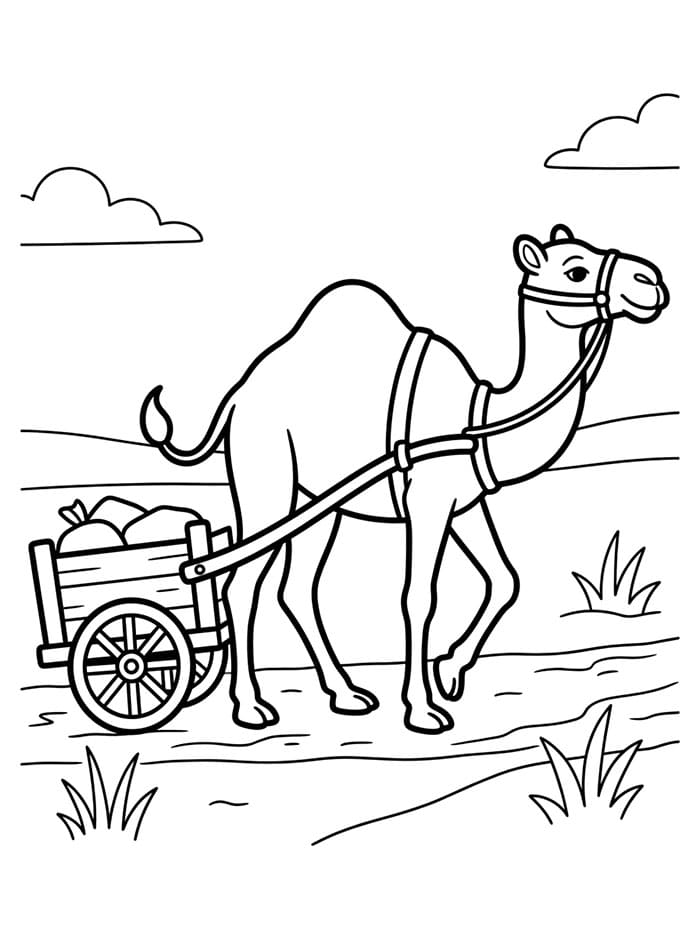 الجمل العربي يجر تلوين