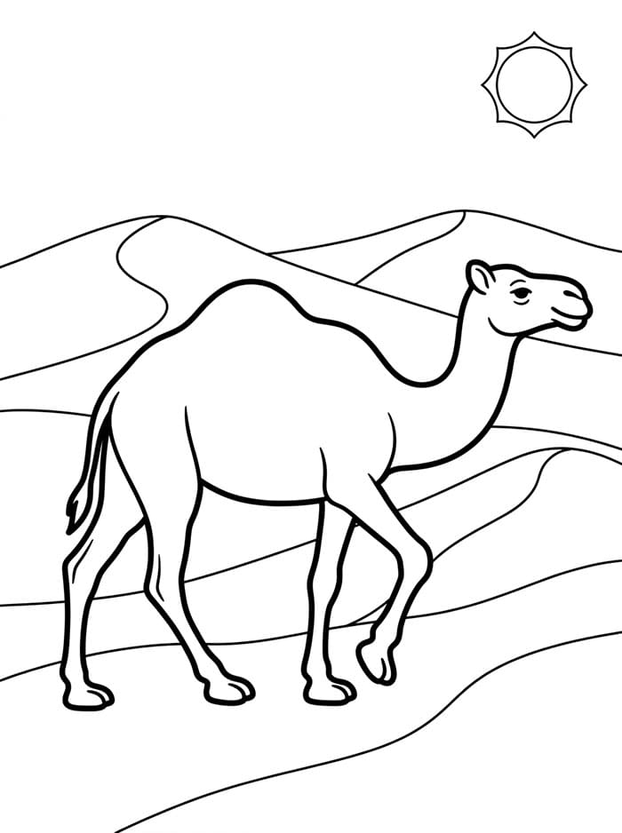 الجمل العربي يمشي تلوين