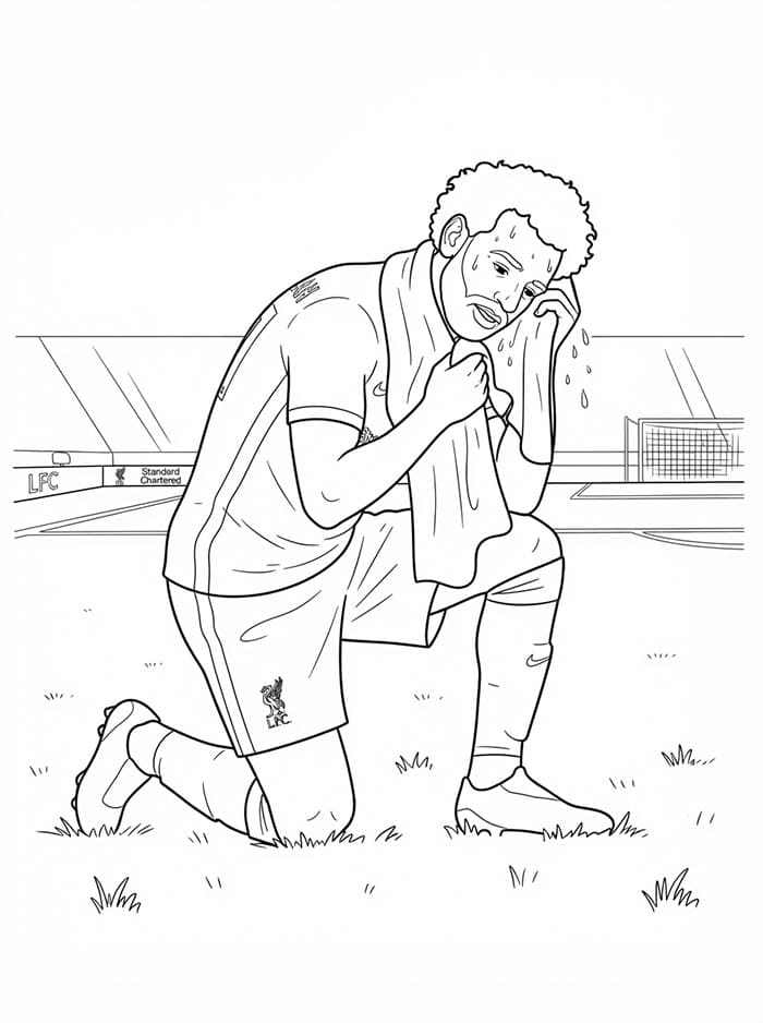 محمد صلاح تبريد تلوين
