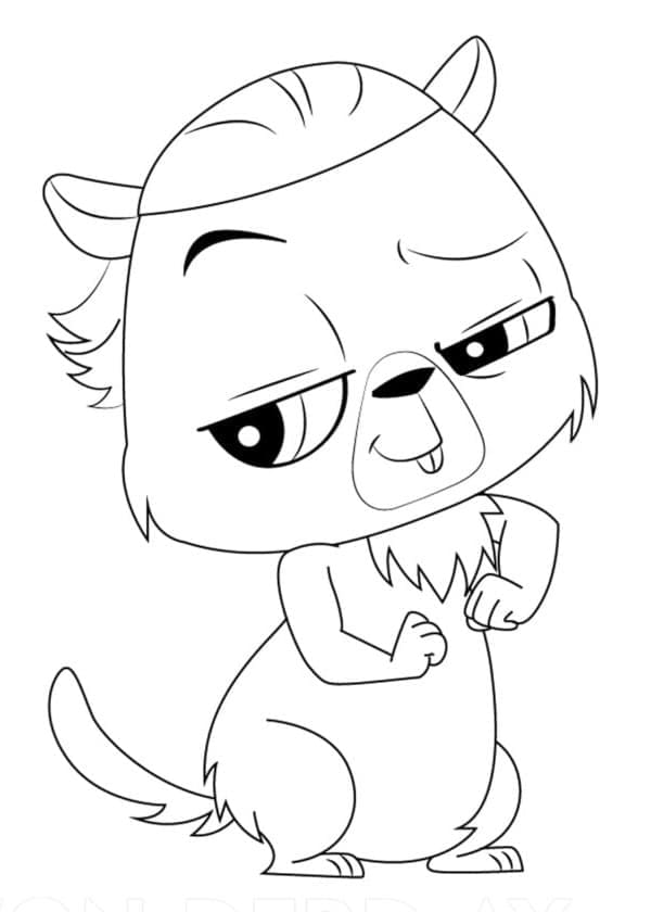 اصغر محال بيع الحيوانات الاليفه هارولد وينستون تلوين