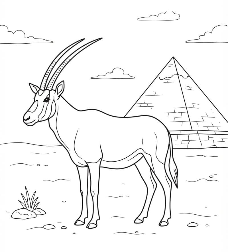 المها والأهرامات تلوين