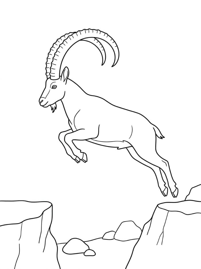الوعل النوبي القافز تلوين